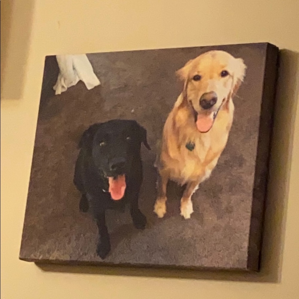 Meet your Posher, Zach